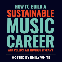 How to Build a sustainable music career